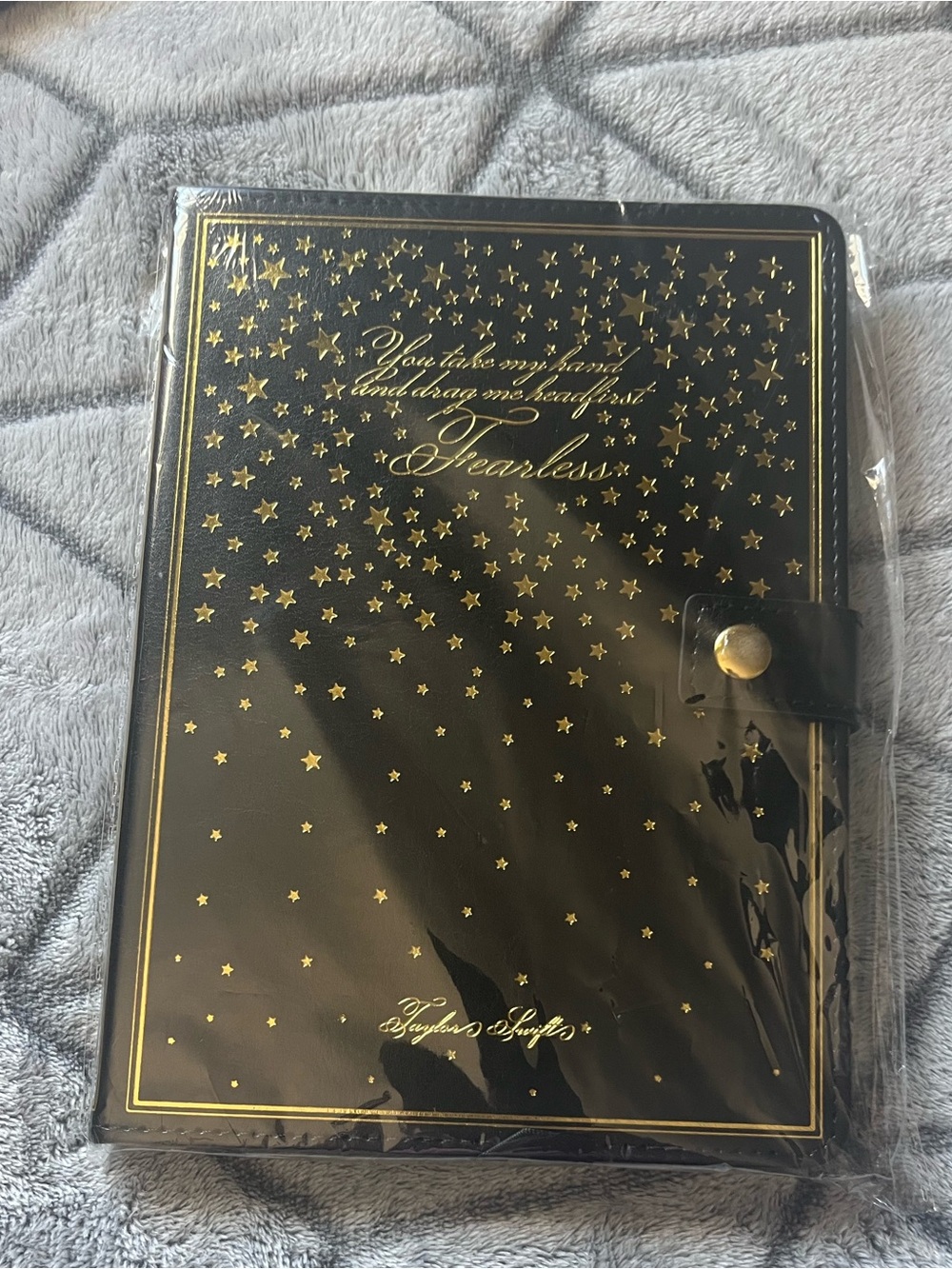 Taylor Swift Fearless Journal New Sealed You Take My Hand and Drag Me Head First